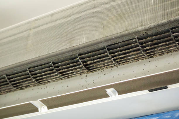 Best HVAC System Cleaning  in Mankato, MN