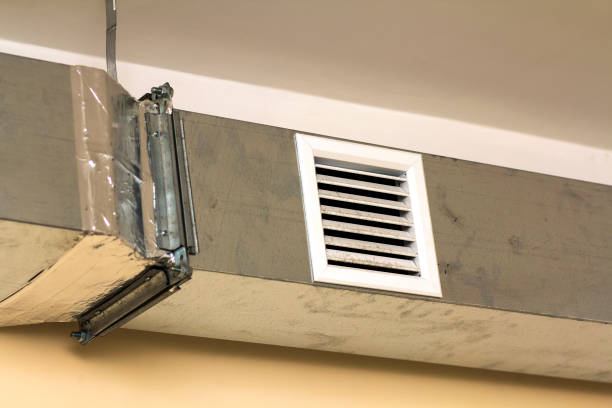 Best Dryer Vent Cleaning Services  in Mankato, MN